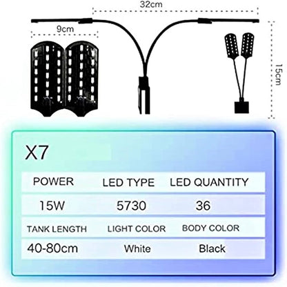 Dual Light
