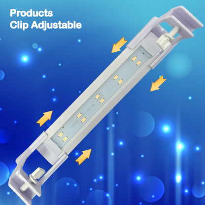 Bluepet WRGB Light
