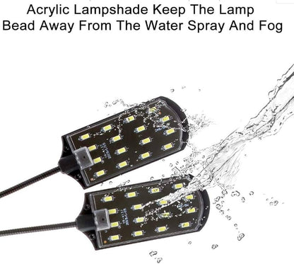 Dual Light