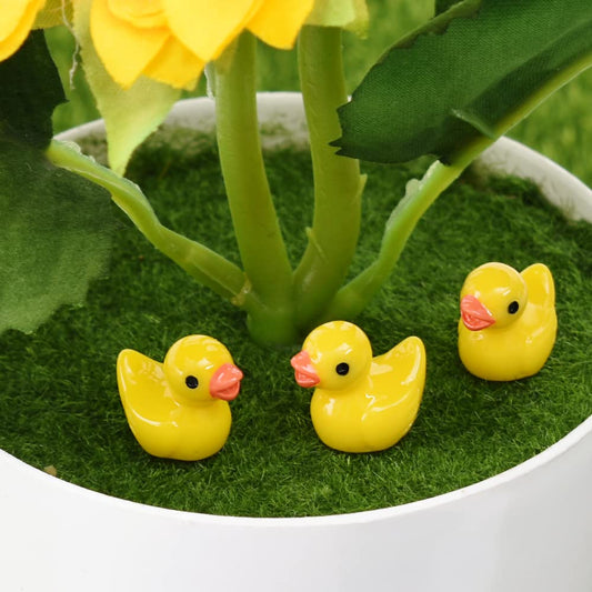 Ducks ( 1-2 cms)