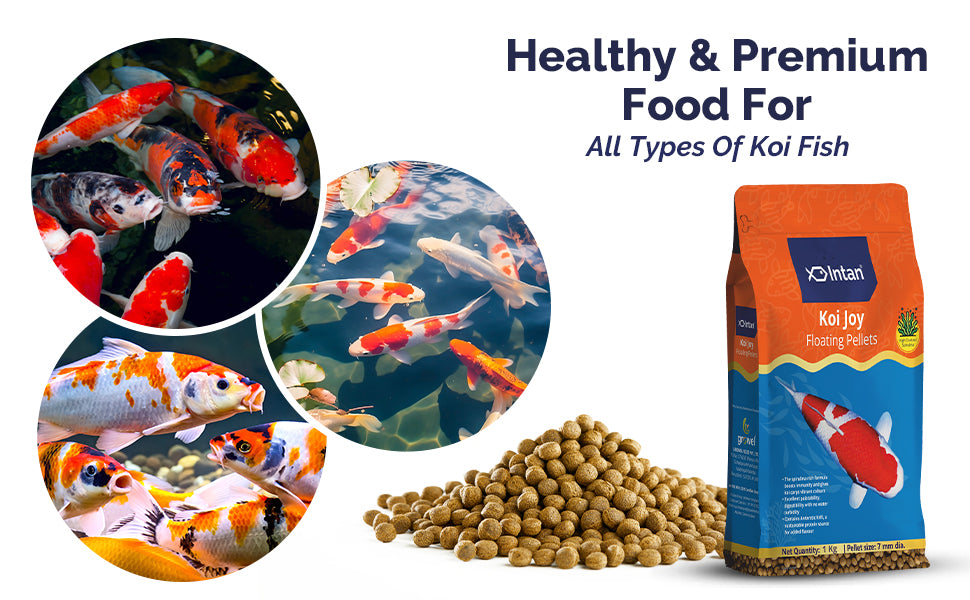 Intan Koi Joy Pellets - 1kg (7mm dia)