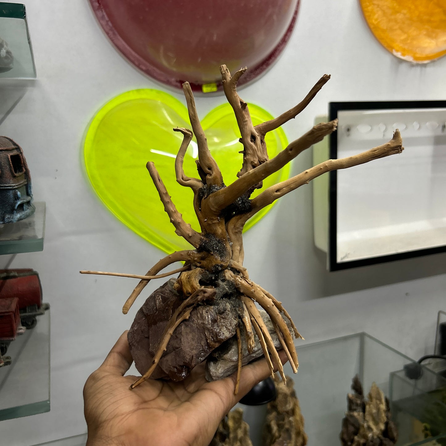 Customised Driftwood | small | Random design