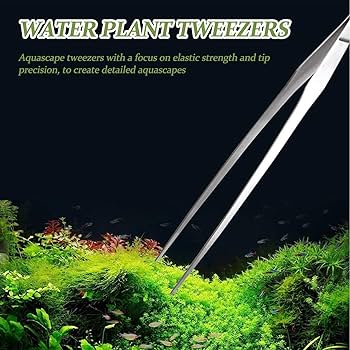 Plant Tweezer | Straight | Stainless