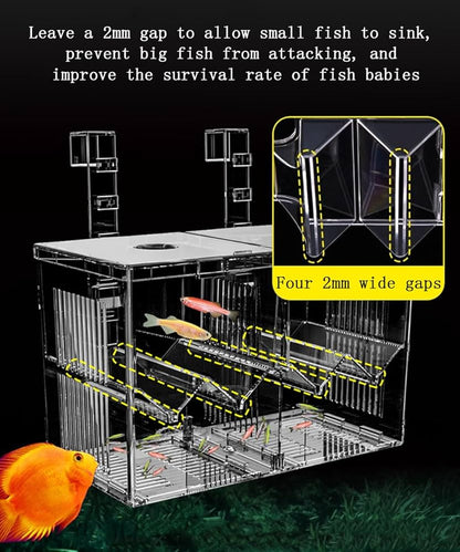 best breeding box for fish J-star Large Breeder Aquarium Tank, Acrylic Box for Guppy/Betta/Shrimp/Clownfish, Baby Fish Hatchery & Isolation Tank : Pet Supplies durable and has a long service life Gift Ideas: The most popular