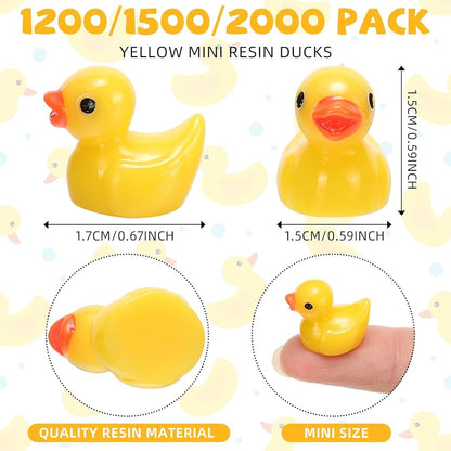 Ducks ( 1-2 cms)