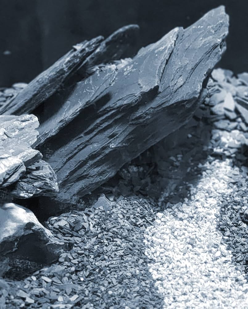 Grey Slate Stone | Natural Aquarium Aquascaping Rock