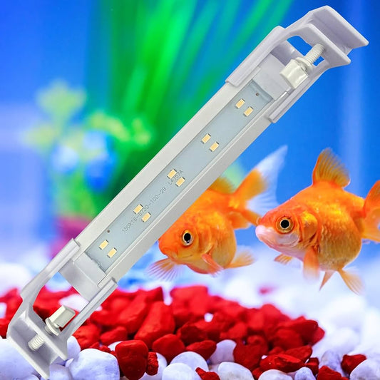 Bluepet WRGB Light