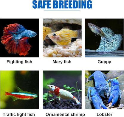Isolation box / breeding box