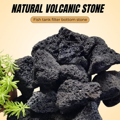 Black Lava Rock | Natural Aquarium Aquascaping Stone | 1kg