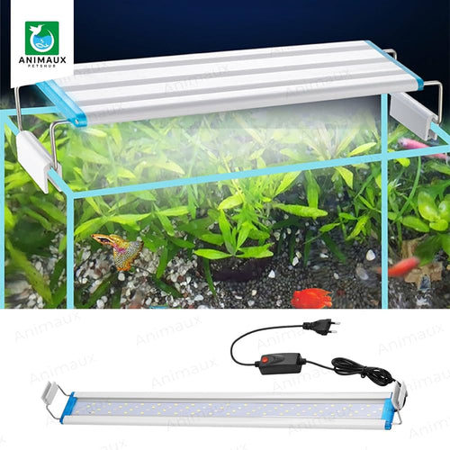 Bluepet Hanging Light