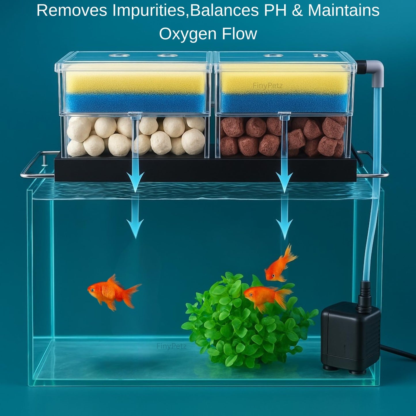 Bluepet Drip Box Multi level Filter