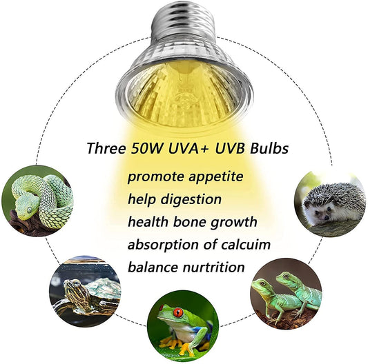 Turtle UV Lamp only