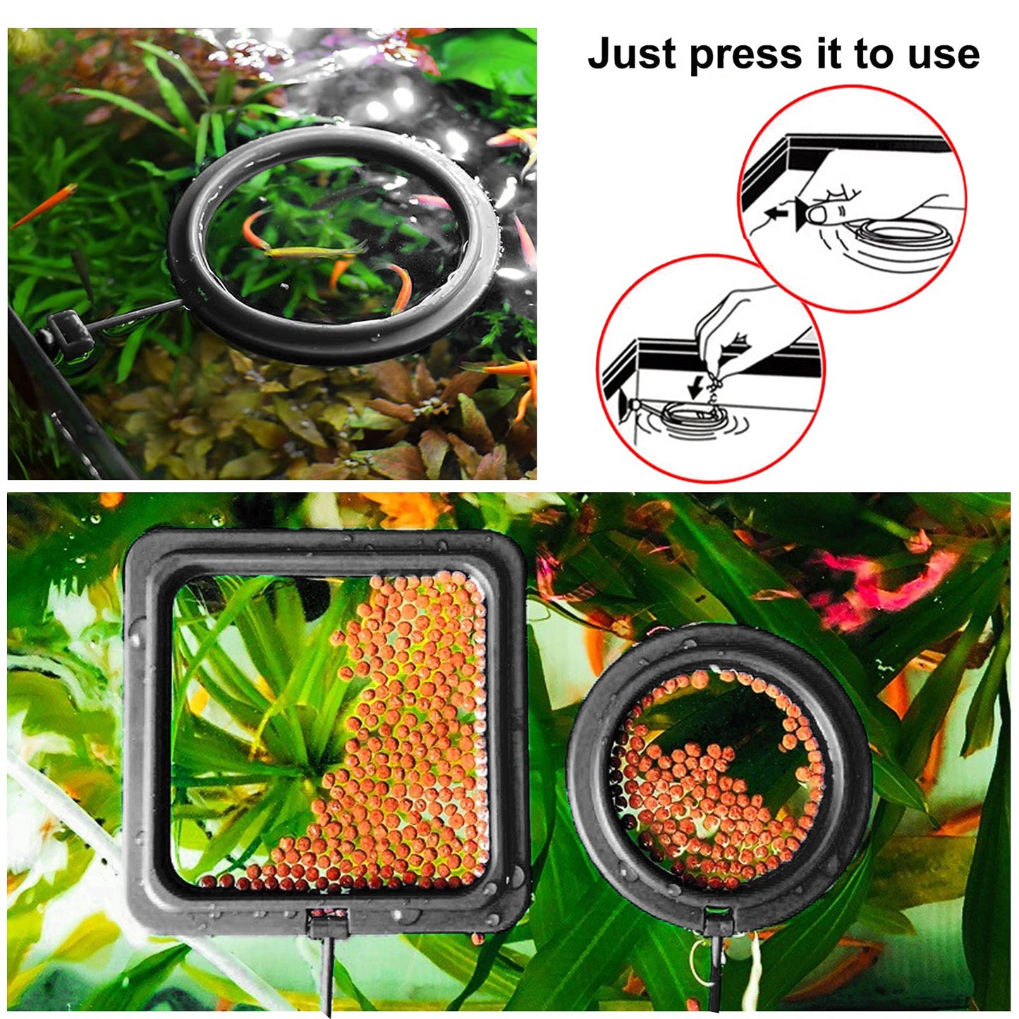 Food feeding Ring