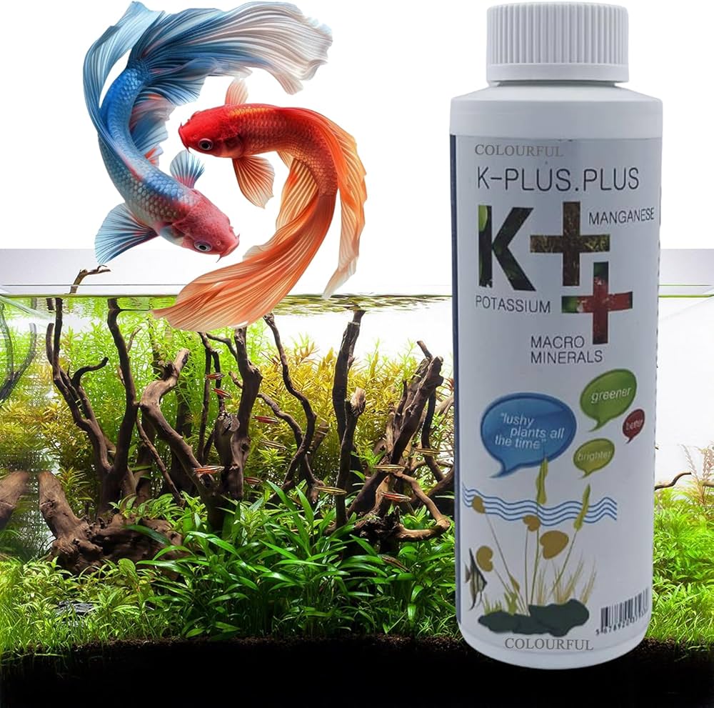 K plus plus