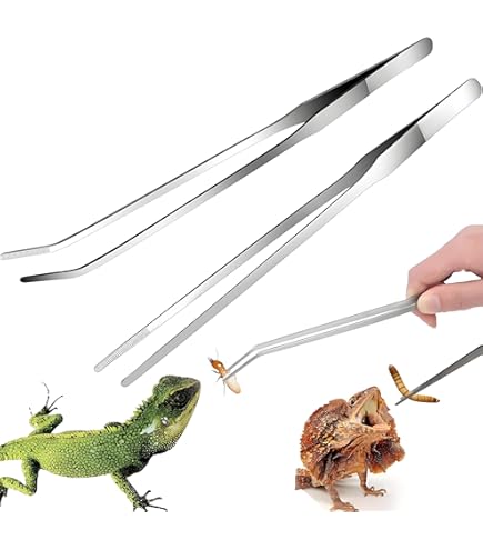 Plant Bent tweezer 27cm | Stainless