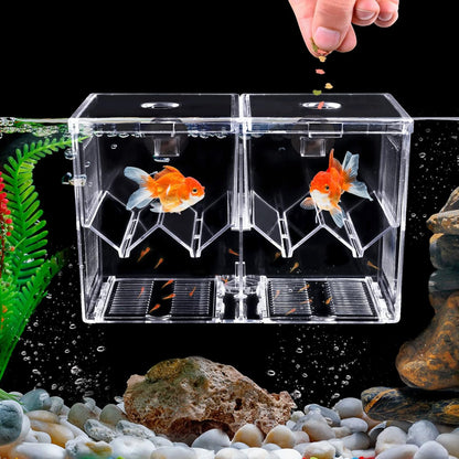 Isolation box / breeding box