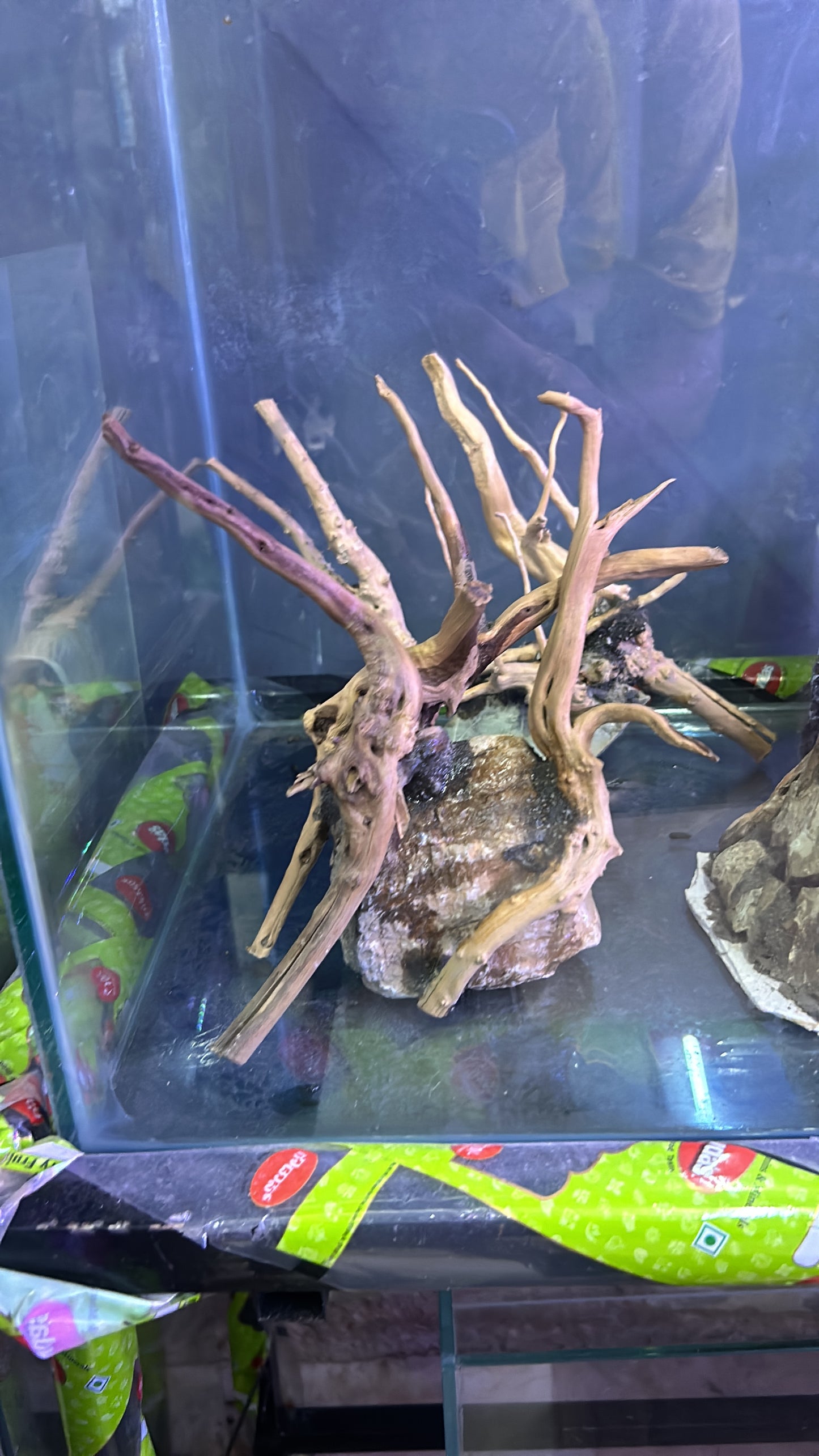 Customised Driftwood | small | Random design