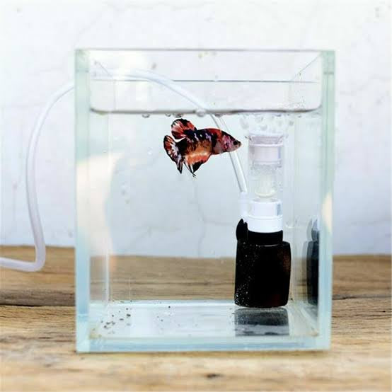 Nano sponge filter | Mini filter | MB 201