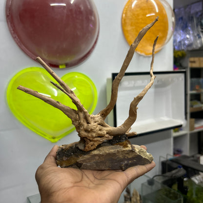 Customised Driftwood | small | Random design