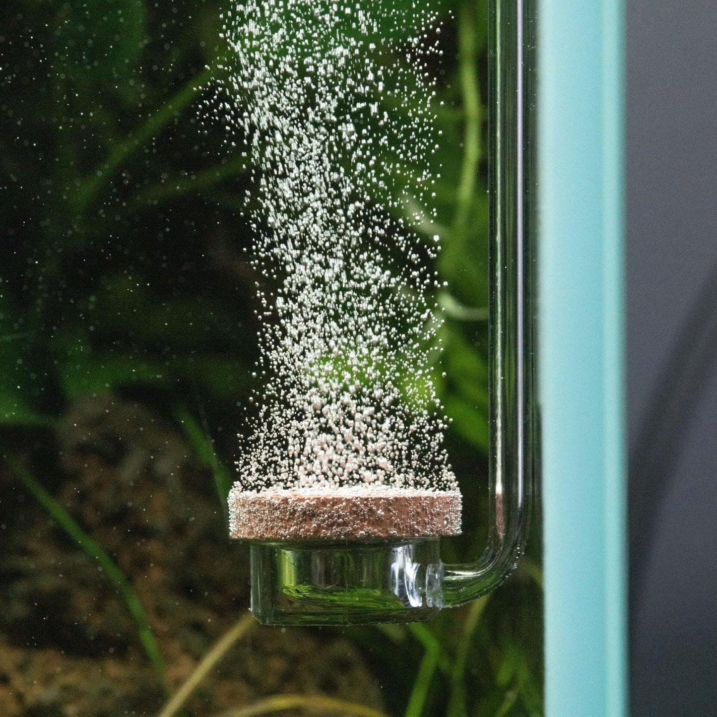 Twinstar CO2 Diffuser Small | Aquarium CO2 Diffuser