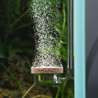 Twinstar CO2 Diffuser Small | Aquarium CO2 Diffuser