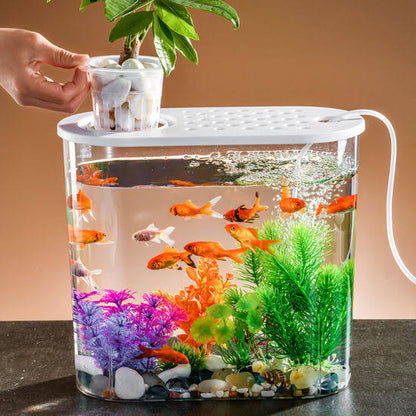 Bluepet BL 09 | Hydroponics Aquarium