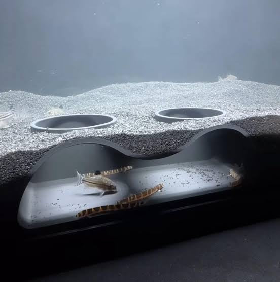 Bottom cave | Hiding spot | VAC002