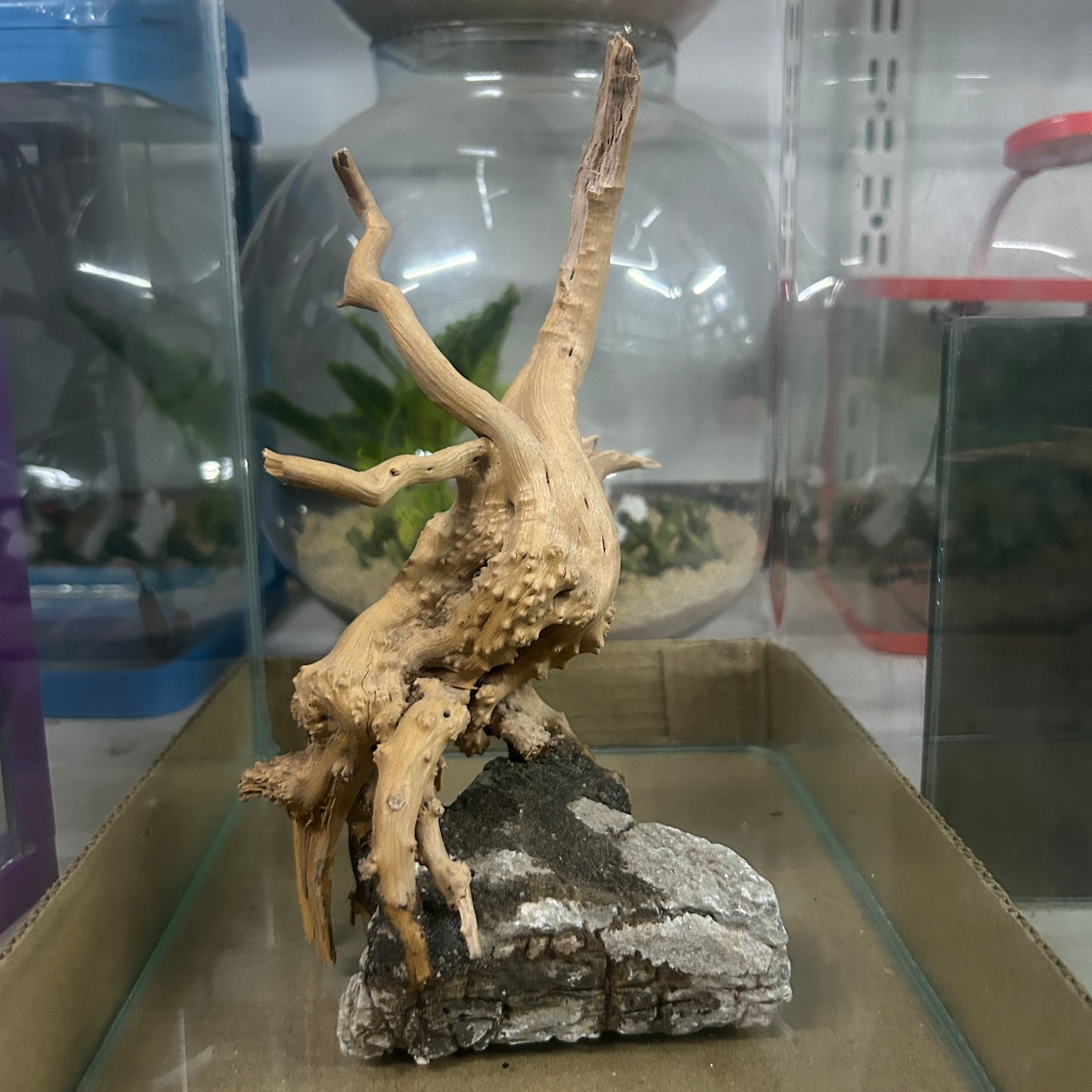 Customised Driftwood | small | Random design