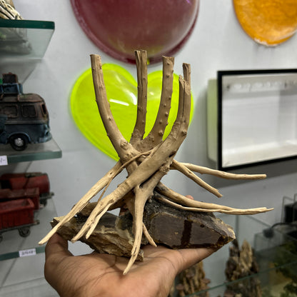 Customised Driftwood | small | Random design