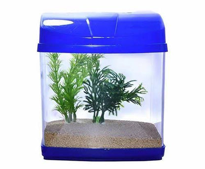 Betta tank | Random colour
