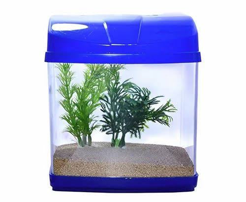 Betta tank | Random colour