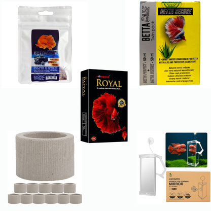 Betta Care Combo Kit | Betta Mineral, Food, Hiding Ring & Grooming Mirror