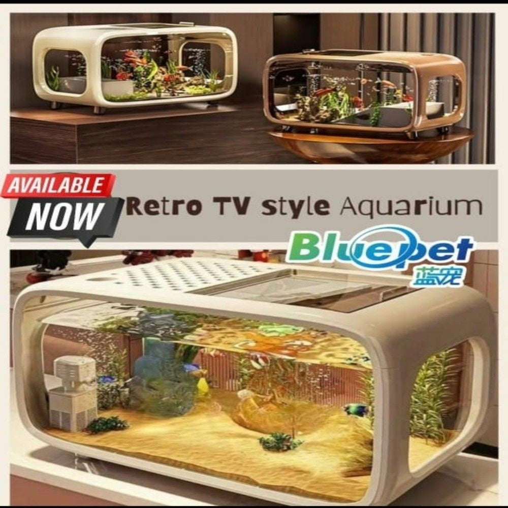 Bluepet TP 40TV | Retro Style TV | Acrylic