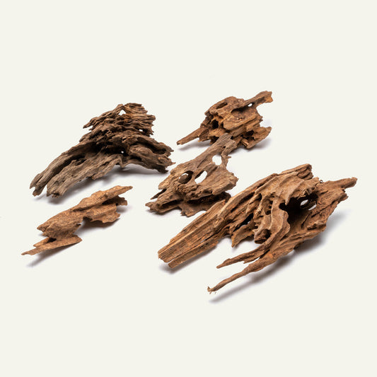 Dragon wood