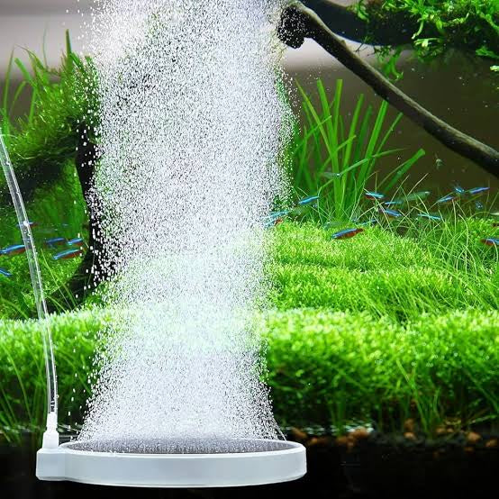 Round White Airstone (powder type)