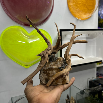 Customised Driftwood | small | Random design