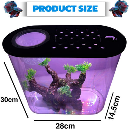 Bluepet BL 09 | Hydroponics Aquarium