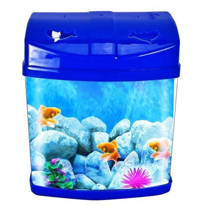 Betta tank | Random colour