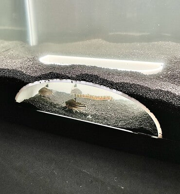 Bottom cave | Hiding spot | VAC003