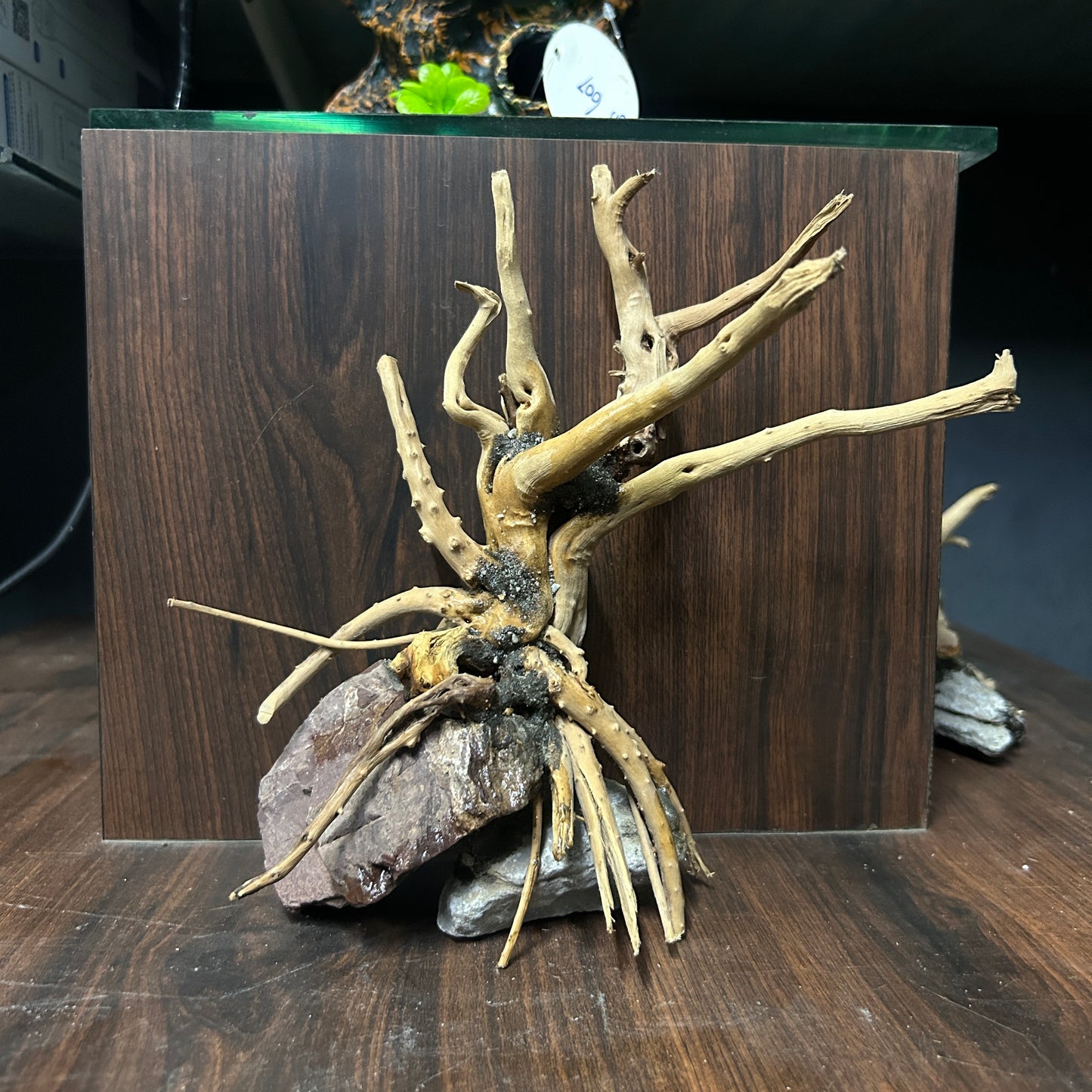 Customised Driftwood | small | Random design