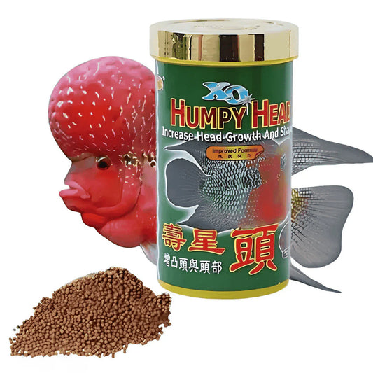 Humpy Head from Ocean free