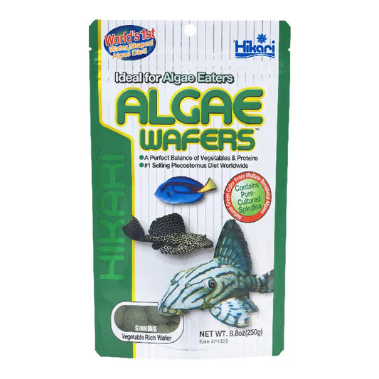 Hikari Algae wafers | Bottom feeders
