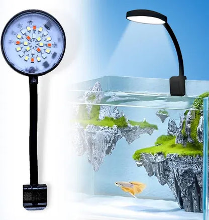 Nano light