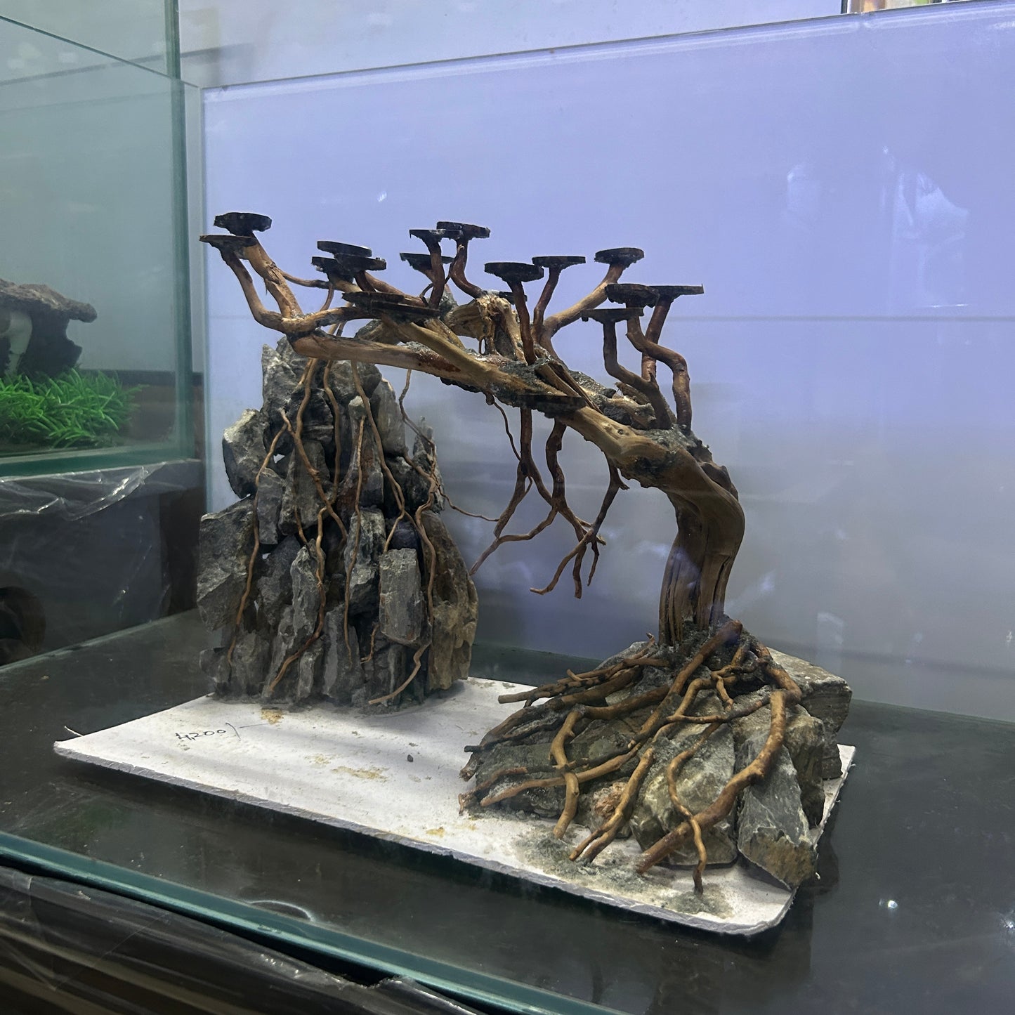 Hardscape Driftwood | 40cm x 20cm x 25cm