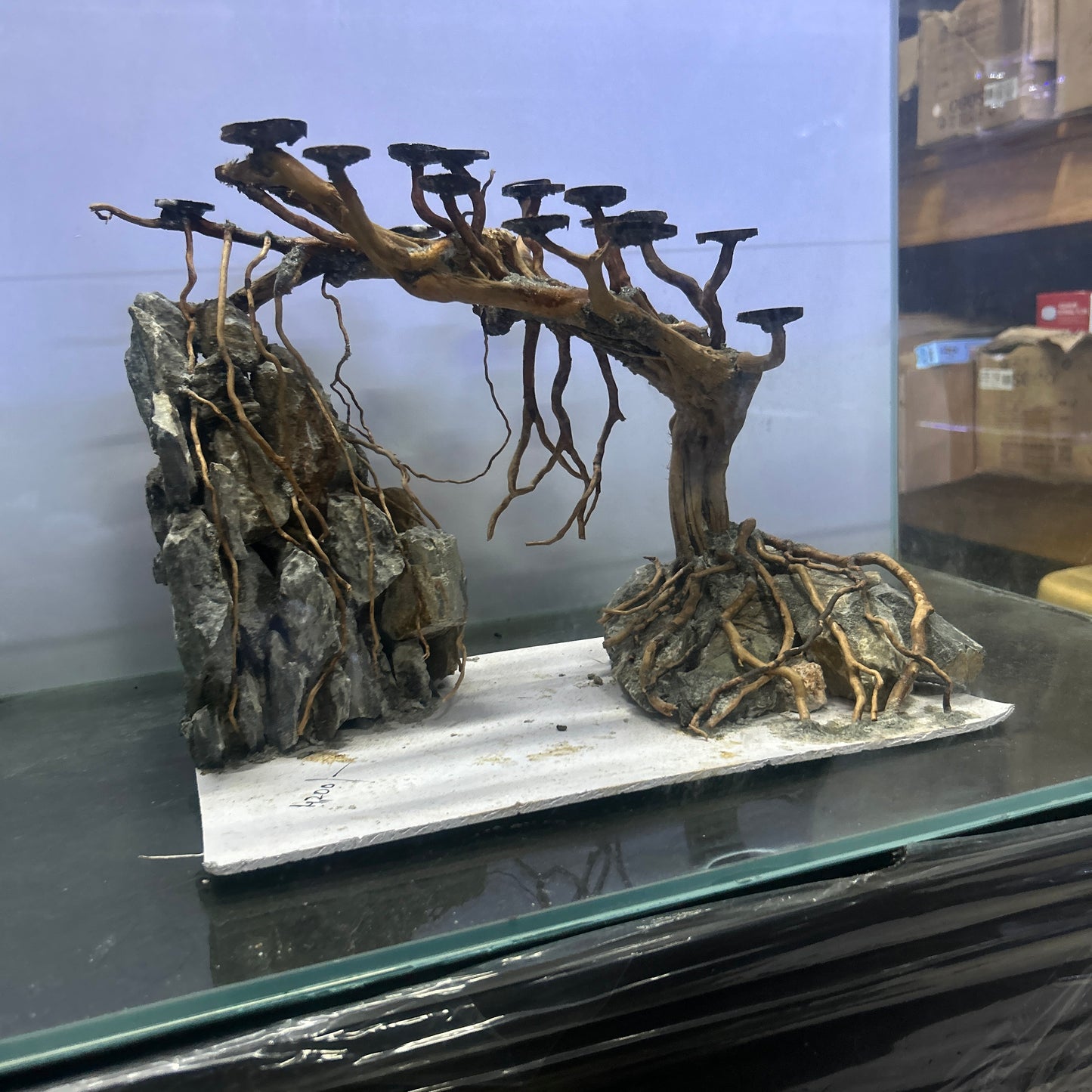 Hardscape Driftwood | 40cm x 20cm x 25cm