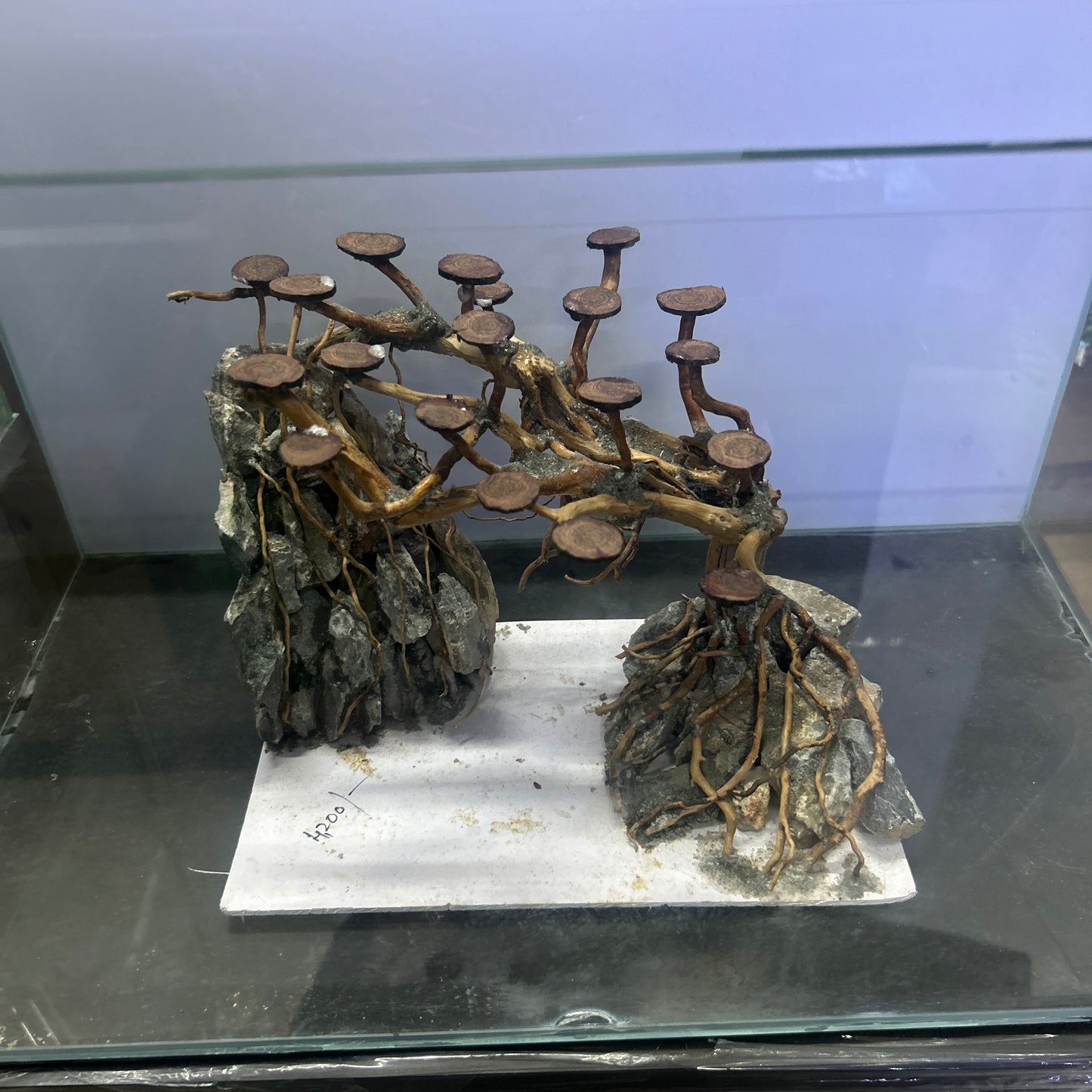 Hardscape Driftwood | 40cm x 20cm x 25cm