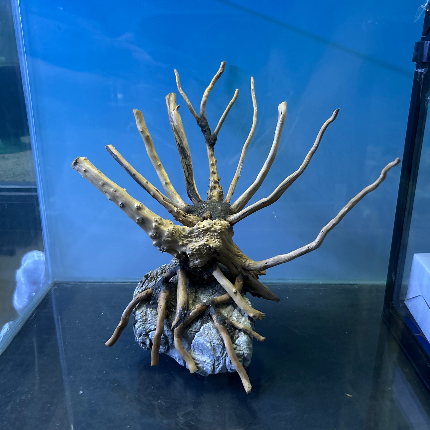 Hardscape Driftwood | 20cm x 8cm x 20cm