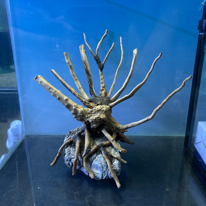 Hardscape Driftwood | 20cm x 8cm x 20cm