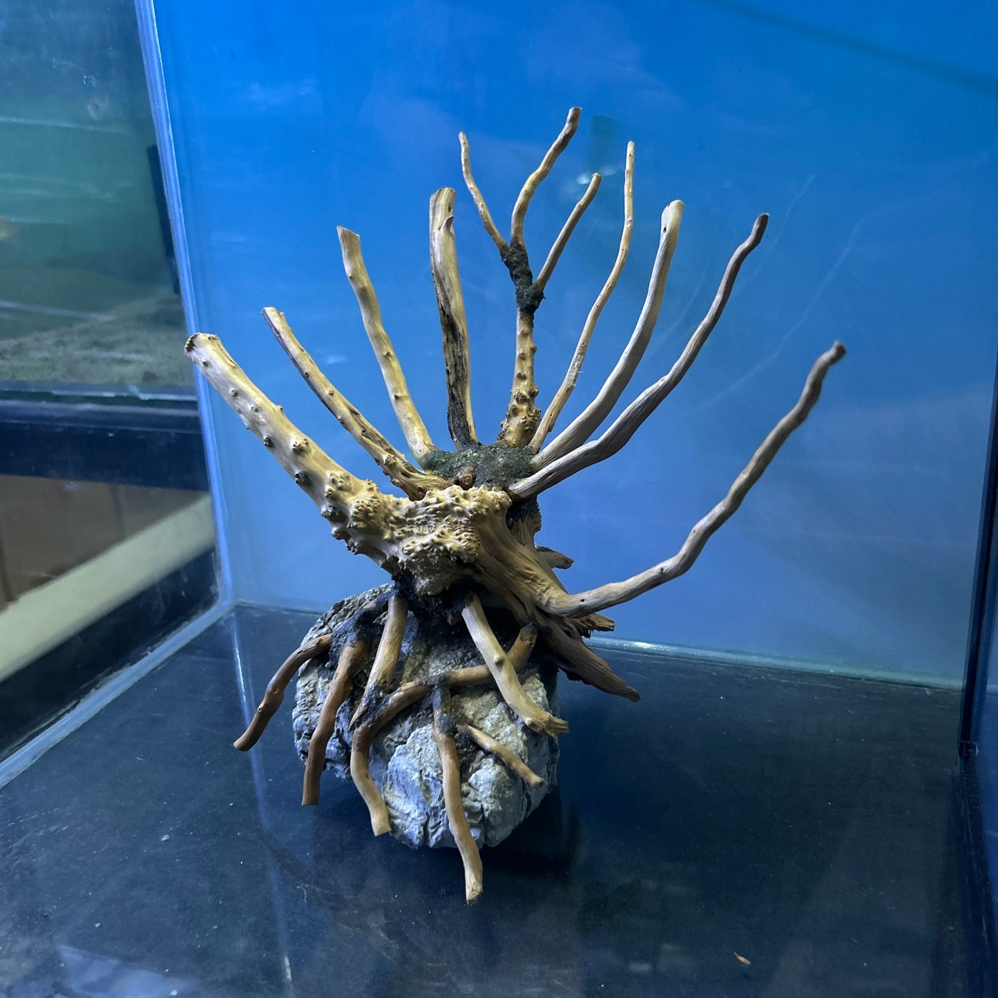 Hardscape Driftwood | 20cm x 8cm x 20cm