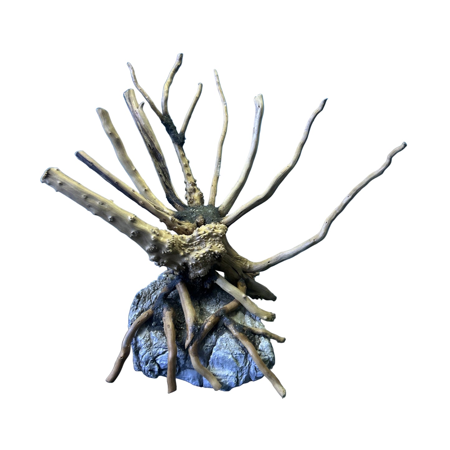 Hardscape Driftwood | 20cm x 8cm x 20cm